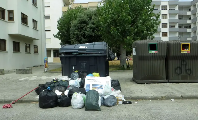 O mês de agosto na Urbanização da Amorosa