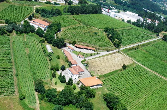 Região Demarcada dos Vinhos Verdes distingue quatro produtos com chancela Grande Ouro