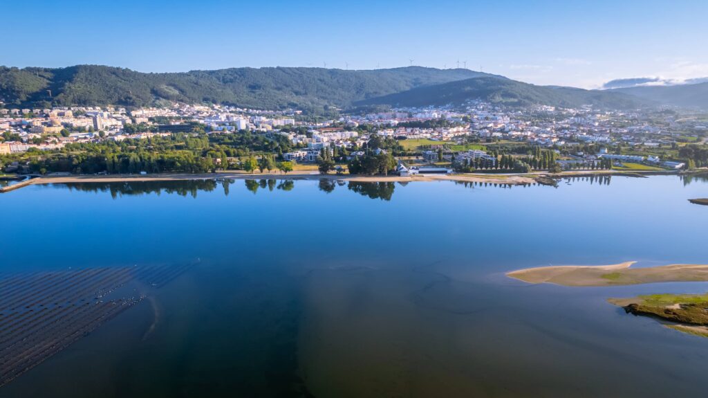 Viana promove-se na BTL