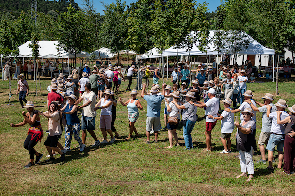 <i class='fa-solid fa-user-lock' aria-hidden='true'></i> “Vencer a Idade com Saúde” envolve 1.600 seniores