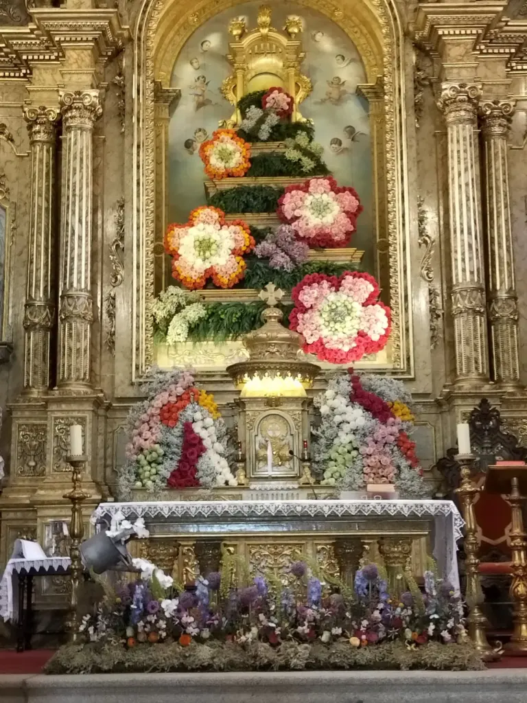 Ecos da Romaria (1)