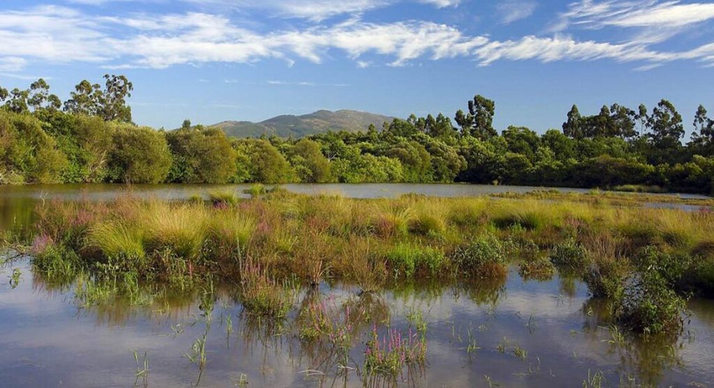 Ponte de Lima compra 12 hectares de terrenos em área protegida por 181 mil euros
