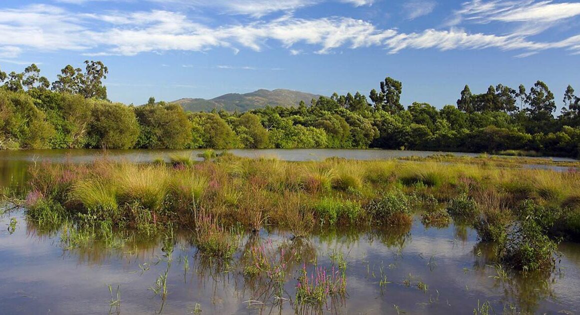Ponte de Lima compra 12 hectares de terrenos em área protegida por 181 mil euros
